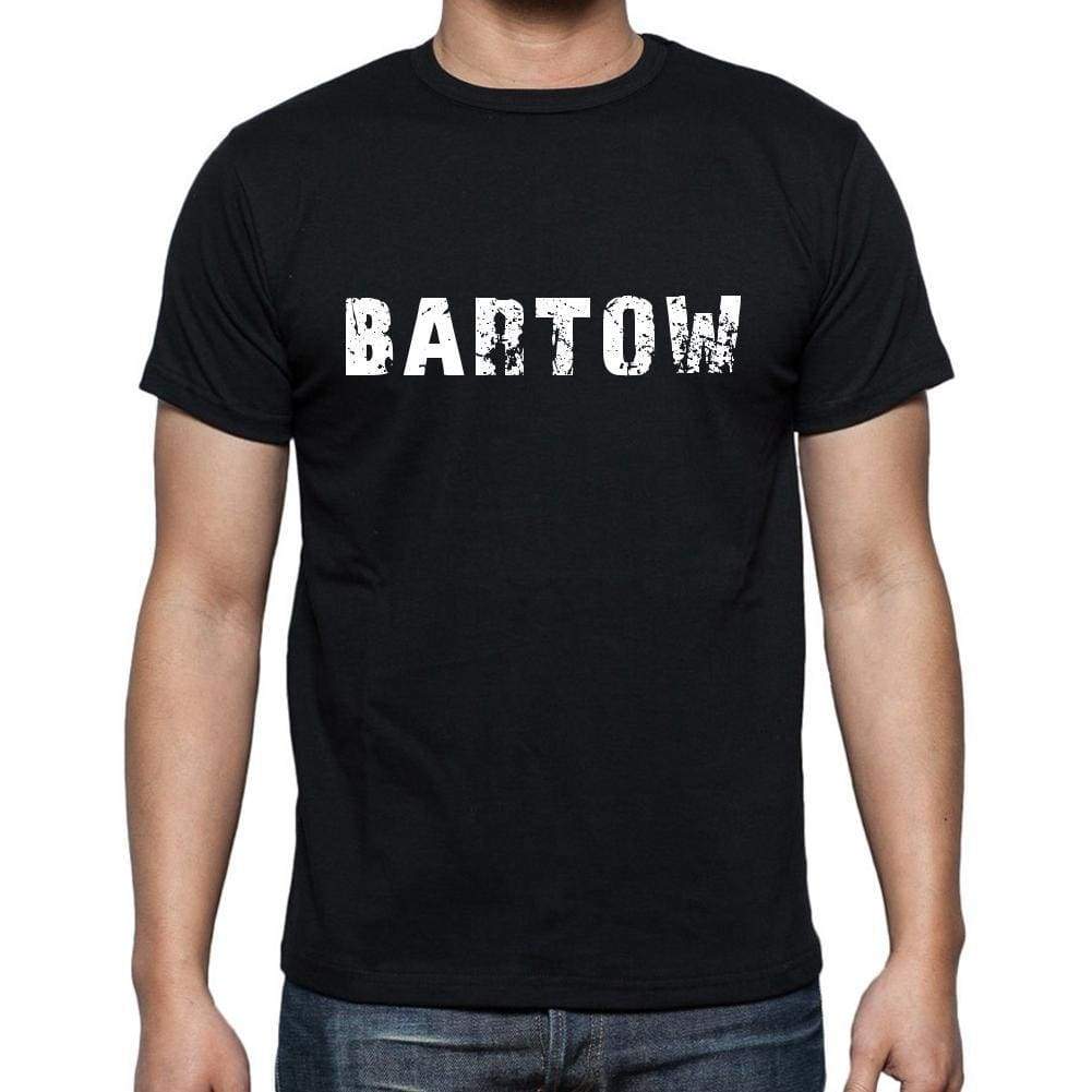 Bartow Mens Short Sleeve Round Neck T-Shirt 00003 - Casual