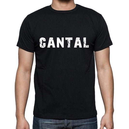 Cantal Mens Short Sleeve Round Neck T-Shirt 00004 - Casual