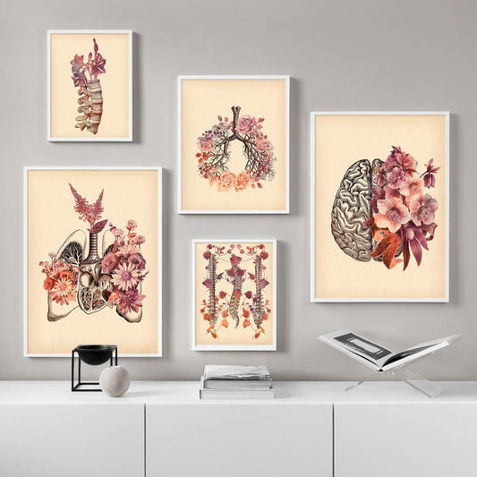 Vintage Lung Skull Spine Human Anatomy Medicine Wall Art Canvas Painting Nordic Posters And Prints Wall Pictures For Living Room