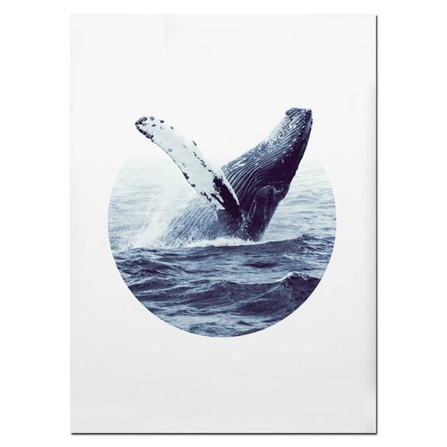 NUOMEGE Modern Poster Whale Wall Art Print Coastal Art Decor Humpback Beluga Canvas Painting Decorative Picture for Living Room
